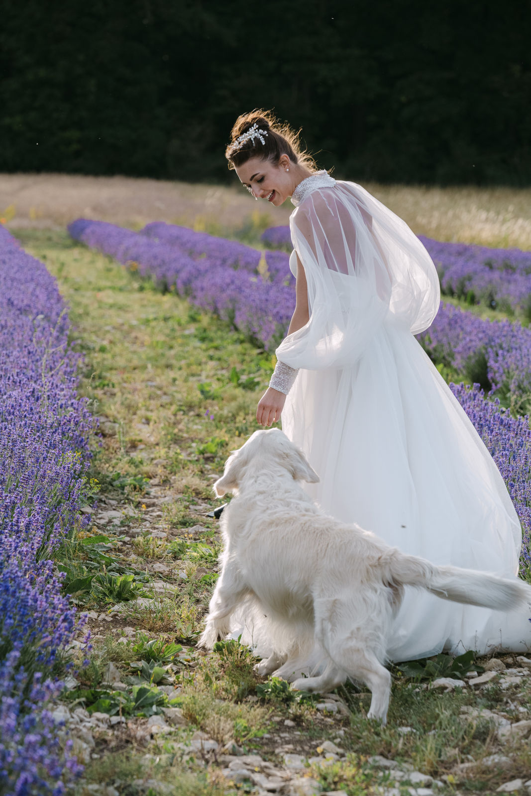 Bride in lavender field with white dog, golden hour – editorial wedding photography Saphir Weddings